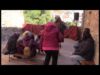 Súria cancel·la la Fira Medieval