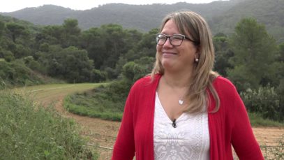 El sector primari