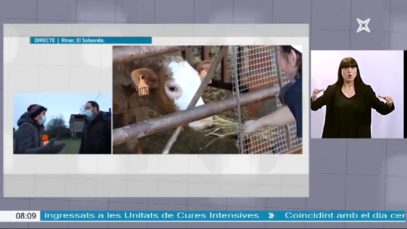 NEX – Els micropobles del Solsonès demanen confinament comarcal