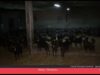 TDT Visitem la Maria Serracarbassa,  una jove ramadera del Moianès