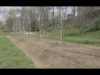 Ja està obert l’espai exclusiu per a gossos al Parc del Cardener, entre els Panyos i el Pont Nou