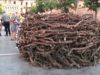 El Projecte Vi_suals deixarà una obra d’art permanent a Manresa relacionada amb la vinya i el vi