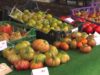 La 6a Festa del tomàquet del Bages se celebrarà del 18 al 23 de juliol