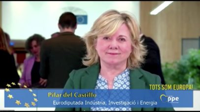 L’eurodiputada Pilar del Castillo proposa mesures per rebaixar el preu de l’energia a Europa