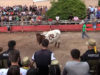 Secuencia 01.00_00_12_16.Imagen fija001