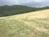 S’atura el projecte de parc solar a Espinalbet