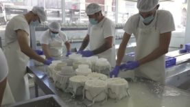 El Garrotxa de Formatges Muntanyola premiat com a millor formatge semi-curat de cabra del món Ampans