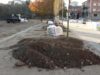 L’Ajuntament inicia la plantació d’arbrat al nou tram urbanitzat al passeig de Riu