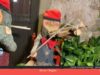 TDT Visitem els Tions de Mura