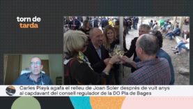 TDT Parlem amb Carles Playà, el nou president de la Denominació d’Origen Pla de Bages