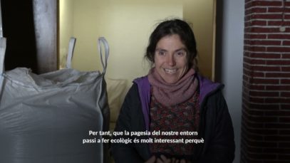 Consell: Què podem fer per reduir els efectes del canvi climàtic?