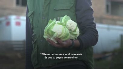 Consell: Quins beneficis té el consum local?