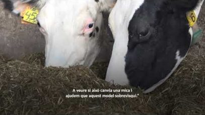 Consell: Quins efectes té el consum local pel territori?