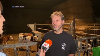 180º La Torre d’en Roca compta amb un ramat de vaques per produïr llet únicament amb la proteïna A2