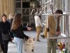 El cementiri de Manresa amplia el seu horari per Tots Sants