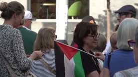 Desenes de persones es manifesten a Manresa per la pau i en suport al poble palestí