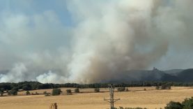 Els bombers donen per extingit l’incendi de Sant Pere Sallavinera