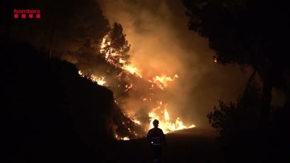 Els propietaris forestals alerten que els parcs naturals són “molt vulnerables” als incendis per la manca de gestió