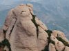 Prohibida l’escalada a dues agulles de Montserrat per protegir el falcó mostatxut durant la cria