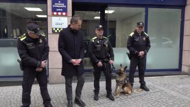 Manresa multiplica la vigilància per la Festa Major