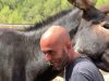 Neix a Castellbell i El Vilar una escola de repoblament rural