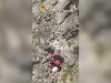 Troben sense vida un excursionista manresà de 53 anys al Pic Perdiguero, a Osca