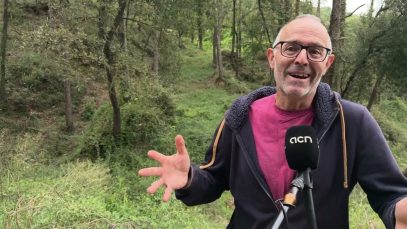 Arrenca amb força una temporada de bolets que es preveu bona