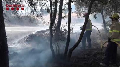 Els incendis forestals de gran escala frenen la recuperació dels boscos des del 2010