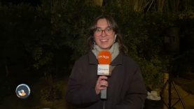 Torn de Tarda 28/11/2025