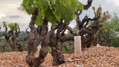 Abadal es consolida com a ambaixador del Bages en el panorama vitivinícola mundial