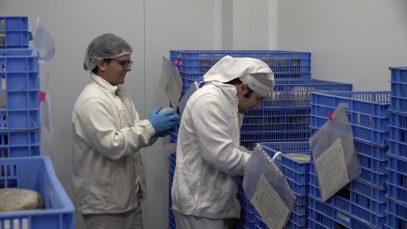 Formatges Muntanyola llança “el Trufalet”, un nou formatge de cabra amb tòfona