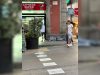 La Guardia Urbana desconeixia la normativa per fer tancar el supermercat de la carretera de Vic
