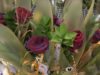 Floristes i llibreters, satisfets de la Diada de Sant Jordi