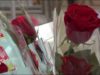 L’amenaça de pluja no afecta Sant Jordi