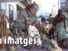 EN IMATGES – Fira de Santa Llúcia de Taradell 2019