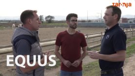 Equus – Programa 4