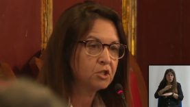 El ple aprova l’agenda urbana de Vic