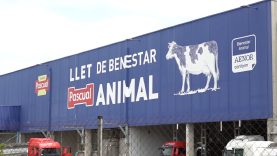 Vaga dels treballadors de Leche Pascual per la venda a Casa Tarradellas